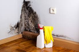 Best Mold Removal for HVAC Installations  in Union Springs, AL